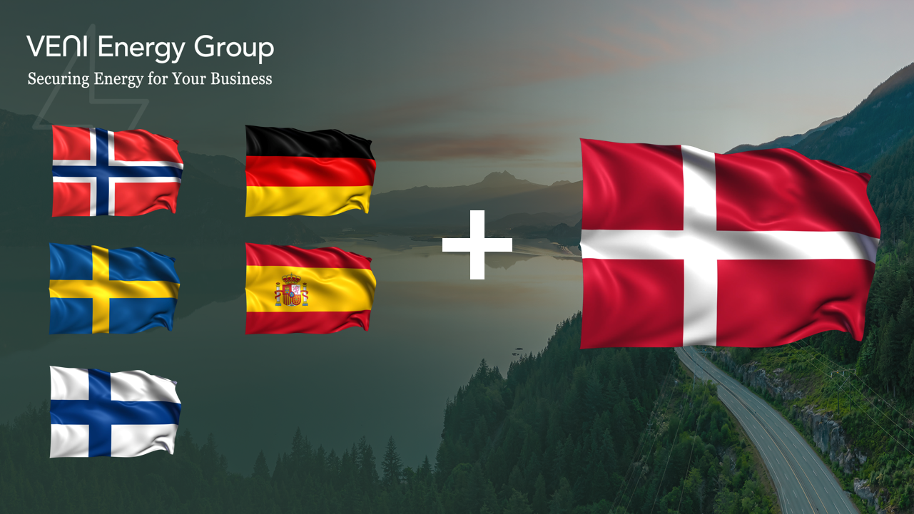 Norwegian flag, swedish flag, finish flag, spainien flag, germany flagg and danish flag waving in the wind.