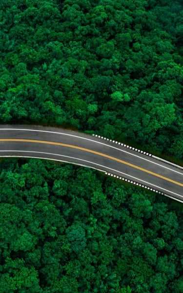 Top view of a road running through a forrest of green treetops with a single white car on the road